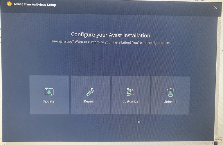 How to stop Avast from Blocking a Website